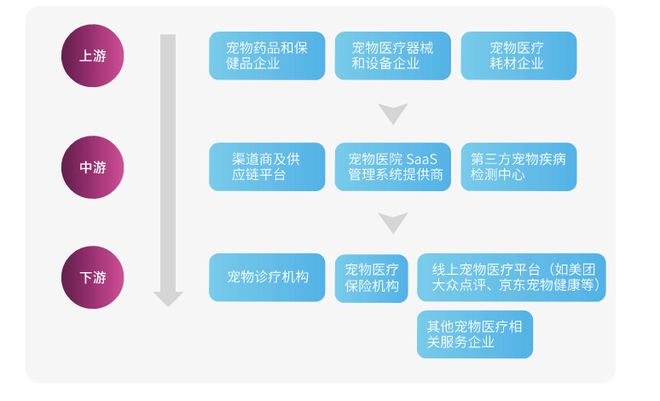 中獸醫(yī)如何撬動百億消費醫(yī)療市場 獸醫(yī)器具的創(chuàng)新與機遇