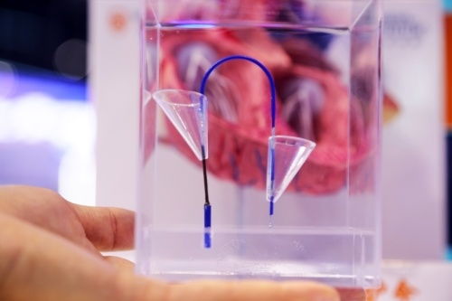 2023年憲法宣傳周 法治文化主題普法宣傳活動啟動，聚焦獸醫(yī)醫(yī)療器械領域