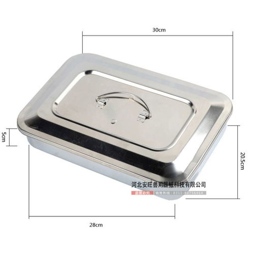 獸醫(yī)用手術器械全覽 從持針鉗到縫合線的專業(yè)工具解析